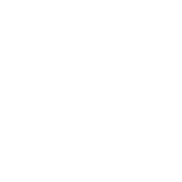 Investigación